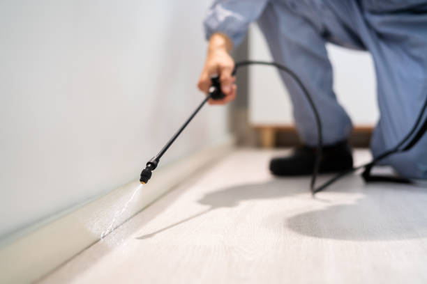 Licensed Cockroach Control service in Helena, OK - Nex Pest Control