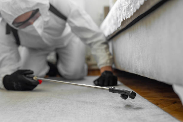 Professional Cockroach Control technician working in Helena, OK