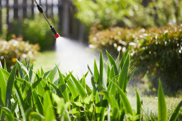 24/7 Emergency Cockroach Control experts in Helena, OK