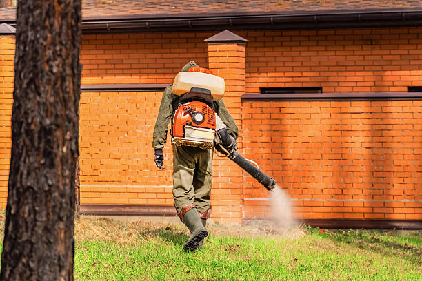 Trusted Bed Bug Control service in Helena, OK - Nex Pest Control